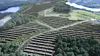 Nesse Solkraftverk er planlagt med en installert effekt på 11,2 MWp som gir en årlig produksjon på 10,2 GWh.