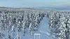 Kulde og vinter gir som regel større strømforbruk, men desember 2025 var varmere enn samme måned i 2024, noe som kan ha bidratt til at folk brukte mindre strøm. Foto: Elvia